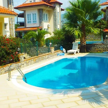 Daisy Garden B فيلة