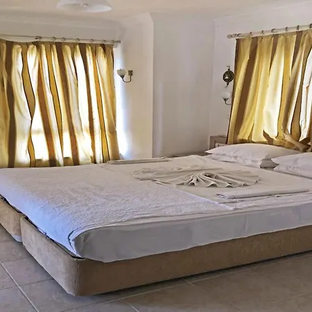 Daisy Garden B فتحية