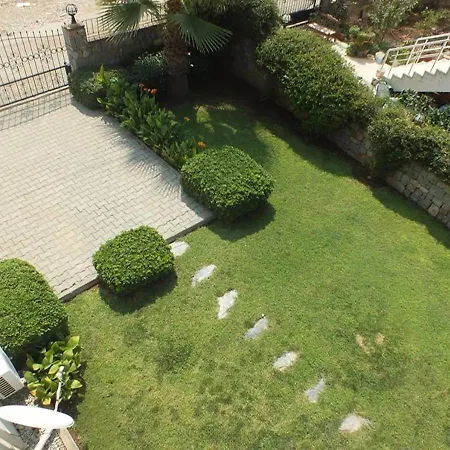 فيلة Daisy Garden B *