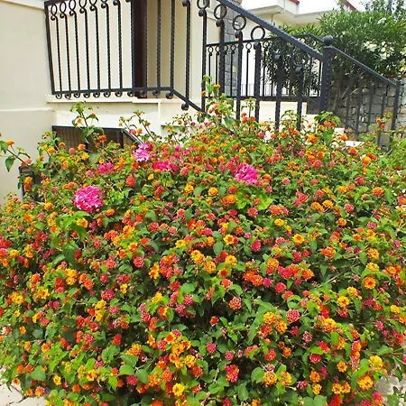 Daisy Garden B فيلة فتحية