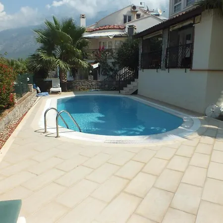 Daısy Garden B