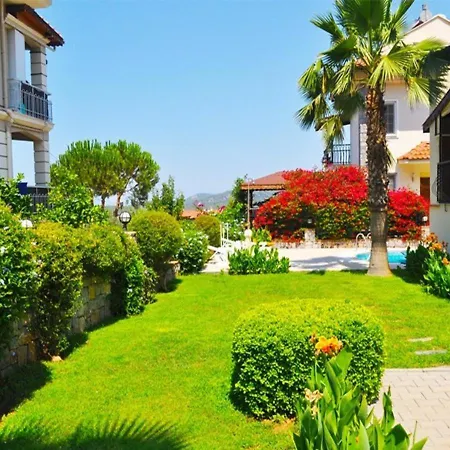 Daısy Garden B *