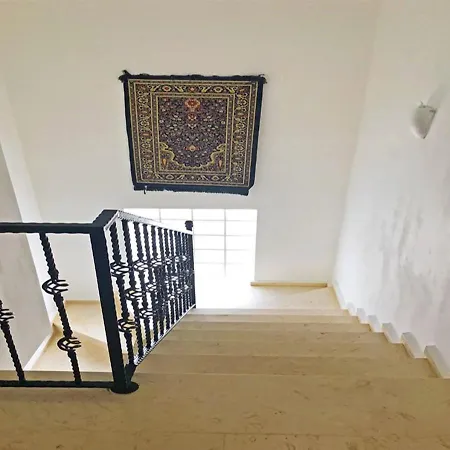 Daısy Garden B *