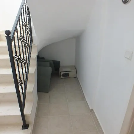 Daısy Garden B *