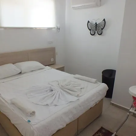 Daısy Garden B *